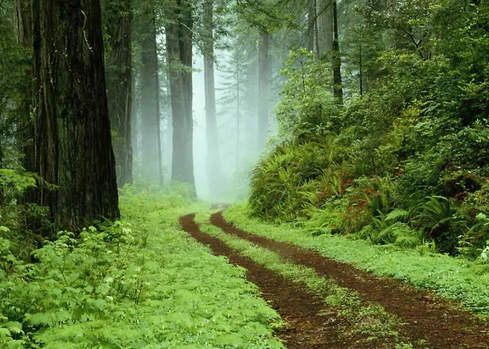 Jaegerhalle فندق