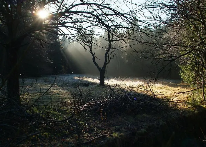 فندق Jaegerhalle